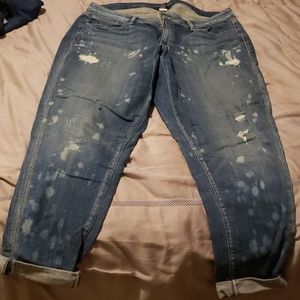 Lane Bryant distressed jeans